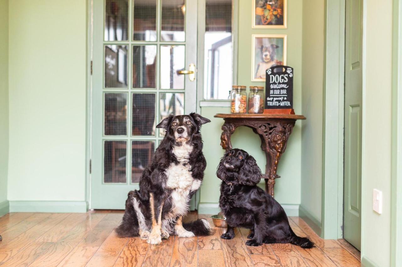 The Fromeway Bed & Breakfast แรดสต็อค ภายนอก รูปภาพ